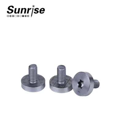 Skrutky s hlavou Torx Drive Machine