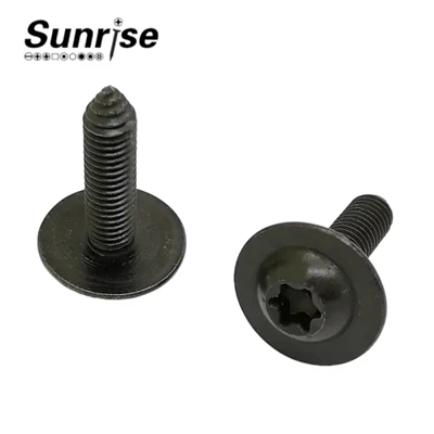 Závitová skrutka so zásuvkou Pan Head Torx Machine Automotive