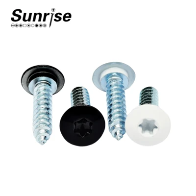 Samorezná skrutka Torx Pan Head